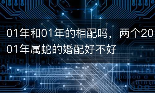 01年和01年的相配吗，两个2001年属蛇的婚配好不好