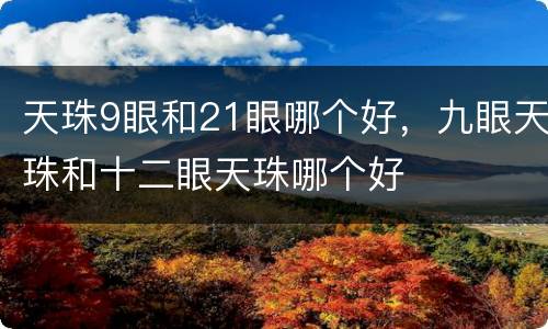 天珠9眼和21眼哪个好，九眼天珠和十二眼天珠哪个好