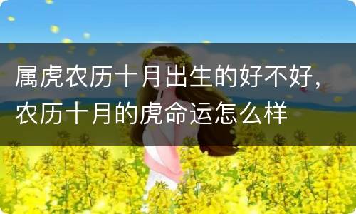 属虎农历十月出生的好不好，农历十月的虎命运怎么样