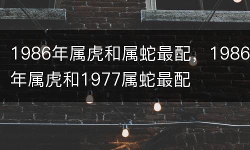1986年属虎和属蛇最配，1986年属虎和1977属蛇最配