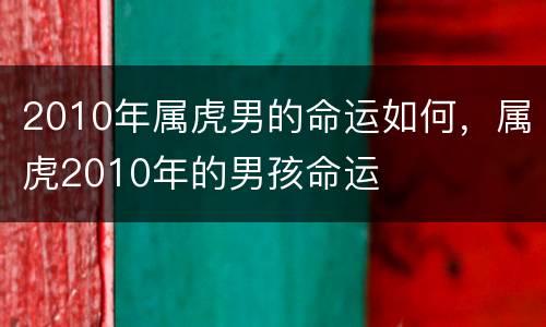 2010年属虎男的命运如何，属虎2010年的男孩命运