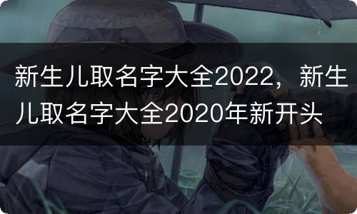 新生儿取名字大全2022，新生儿取名字大全2020年新开头