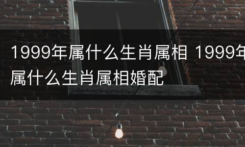 1999年属什么生肖属相 1999年属什么生肖属相婚配