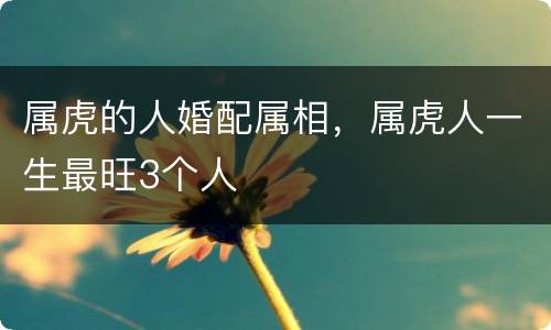 属虎的人婚配属相，属虎人一生最旺3个人