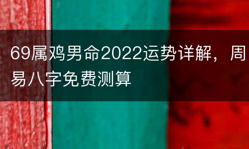 69属鸡男命2022运势详解，周易八字免费测算