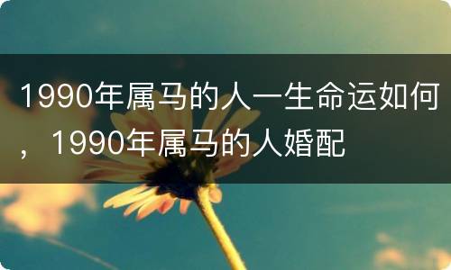 1990年属马的人一生命运如何，1990年属马的人婚配