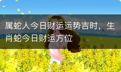 属蛇人今日财运运势吉时，生肖蛇今日财运方位