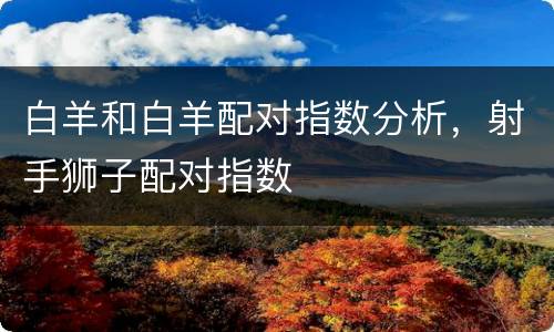 白羊和白羊配对指数分析，射手狮子配对指数