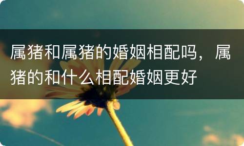 属猪和属猪的婚姻相配吗，属猪的和什么相配婚姻更好