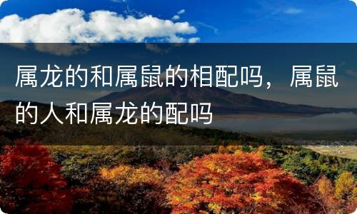 属龙的和属鼠的相配吗，属鼠的人和属龙的配吗