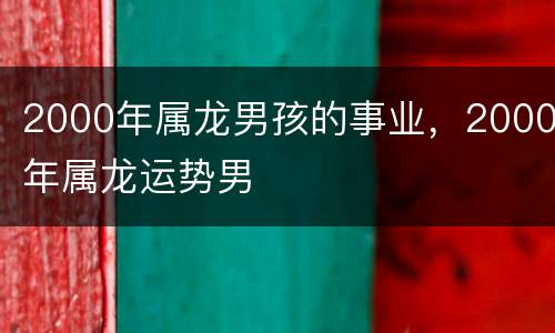 2000年属龙男孩的事业，2000年属龙运势男