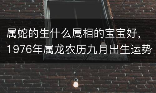 属蛇的生什么属相的宝宝好，1976年属龙农历九月出生运势