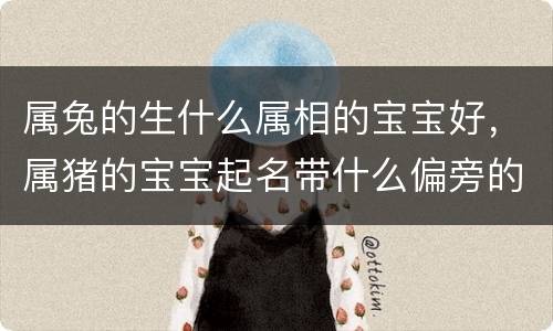 属兔的生什么属相的宝宝好，属猪的宝宝起名带什么偏旁的字好 属