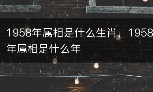 1958年属相是什么生肖，1958年属相是什么年
