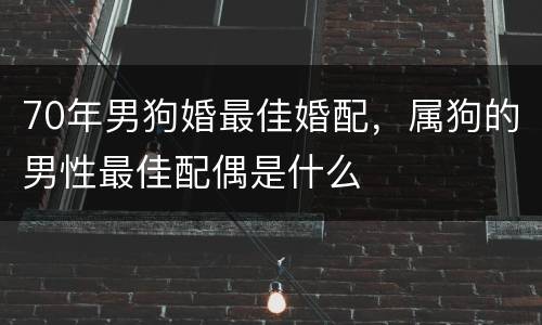 70年男狗婚最佳婚配，属狗的男性最佳配偶是什么