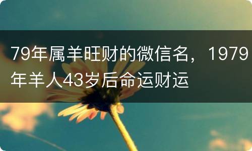 79年属羊旺财的微信名，1979年羊人43岁后命运财运