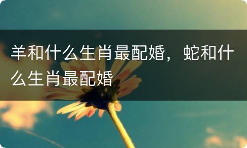 羊和什么生肖最配婚，蛇和什么生肖最配婚