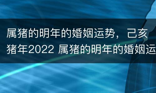 属猪的明年的婚姻运势，己亥猪年2022 属猪的明年的婚姻运势,己亥猪年2022年运程