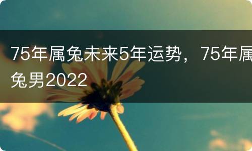 75年属兔未来5年运势，75年属兔男2022