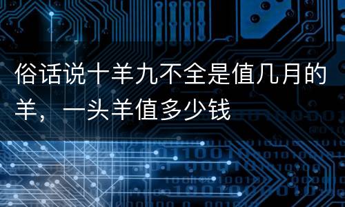 俗话说十羊九不全是值几月的羊，一头羊值多少钱