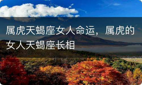 属虎天蝎座女人命运，属虎的女人天蝎座长相