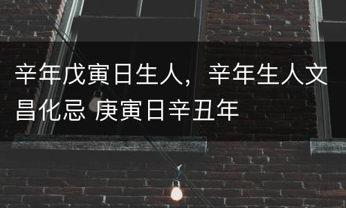 辛年戊寅日生人，辛年生人文昌化忌 庚寅日辛丑年