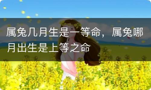 属兔几月生是一等命，属兔哪月出生是上等之命
