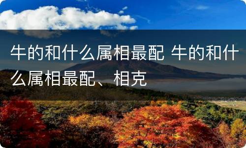 牛的和什么属相最配 牛的和什么属相最配、相克