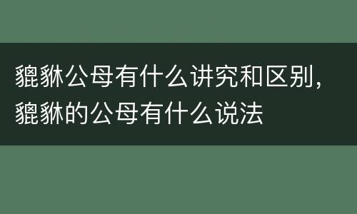 貔貅公母有什么讲究和区别，貔貅的公母有什么说法