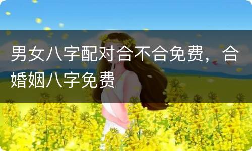 男女八字配对合不合免费，合婚姻八字免费