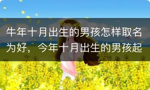 牛年十月出生的男孩怎样取名为好，今年十月出生的男孩起什么名字好