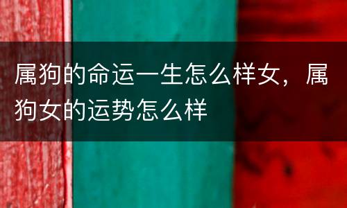 属狗的命运一生怎么样女，属狗女的运势怎么样