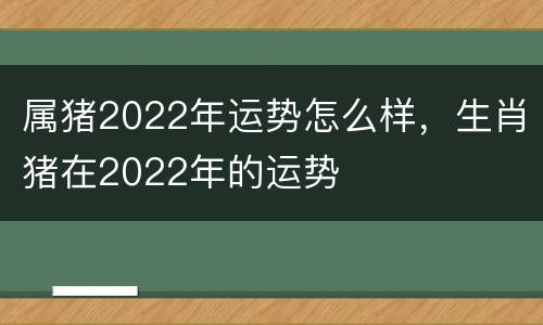 属猪2022年运势怎么样，生肖猪在2022年的运势