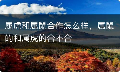属虎和属鼠合作怎么样，属鼠的和属虎的合不合
