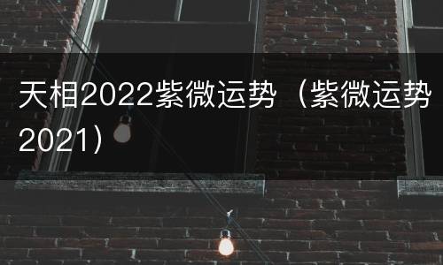 天相2022紫微运势（紫微运势2021）