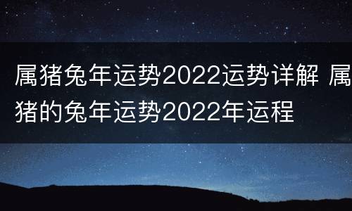 属猪兔年运势2022运势详解 属猪的兔年运势2022年运程