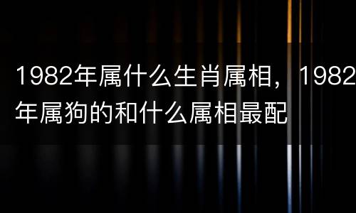 1982年属什么生肖属相，1982年属狗的和什么属相最配