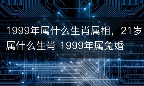 1999年属什么生肖属相，21岁属什么生肖 1999年属兔婚