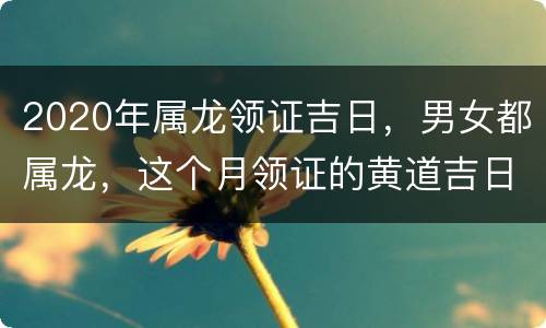 2020年属龙领证吉日，男女都属龙，这个月领证的黄道吉日是哪天