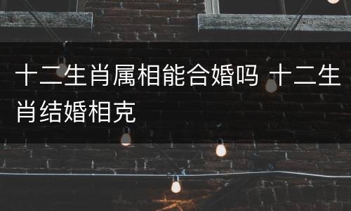 十二生肖属相能合婚吗 十二生肖结婚相克
