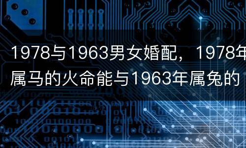1978与1963男女婚配，1978年属马的火命能与1963年属兔的金
