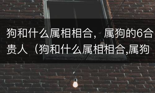 狗和什么属相相合，属狗的6合贵人（狗和什么属相相合,属狗的6合贵人是什么）