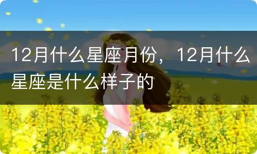 12月什么星座月份，12月什么星座是什么样子的