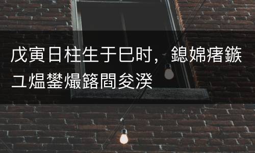 戊寅日柱生于巳时，鎴婂瘏鏃ユ煴鐢熶簬閰夋湀