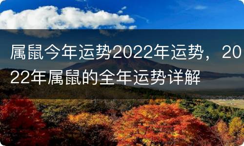 属鼠今年运势2022年运势，2022年属鼠的全年运势详解