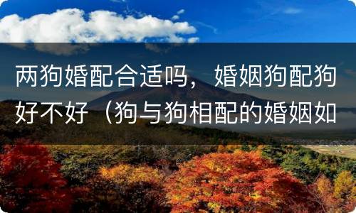 两狗婚配合适吗，婚姻狗配狗好不好（狗与狗相配的婚姻如何能长久吗?）