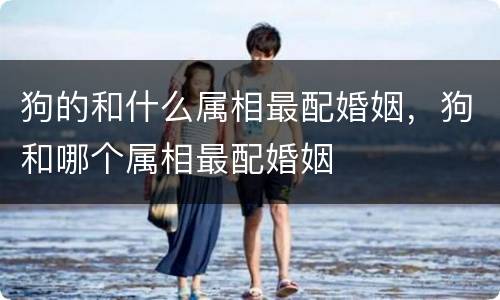 狗的和什么属相最配婚姻，狗和哪个属相最配婚姻