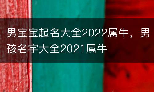 男宝宝起名大全2022属牛，男孩名字大全2021属牛