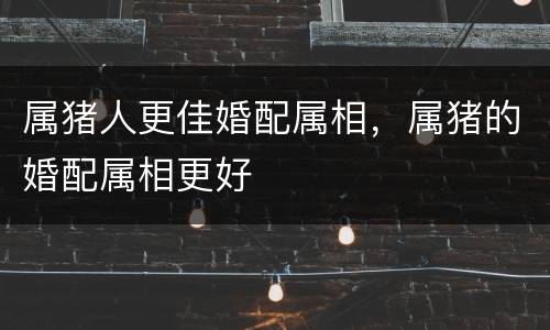 属猪人更佳婚配属相，属猪的婚配属相更好