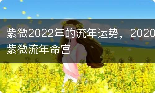 紫微2022年的流年运势，2020紫微流年命宫